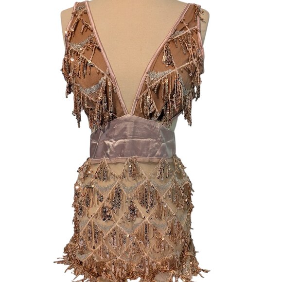 Dress L Sequin Tassel Fringe Sheer Mesh Champaign Louisa Mini Bella Barnett New - Picture 2 of 9